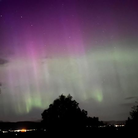 Fyrish View Daire Dingwall Dış mekan fotoğraf