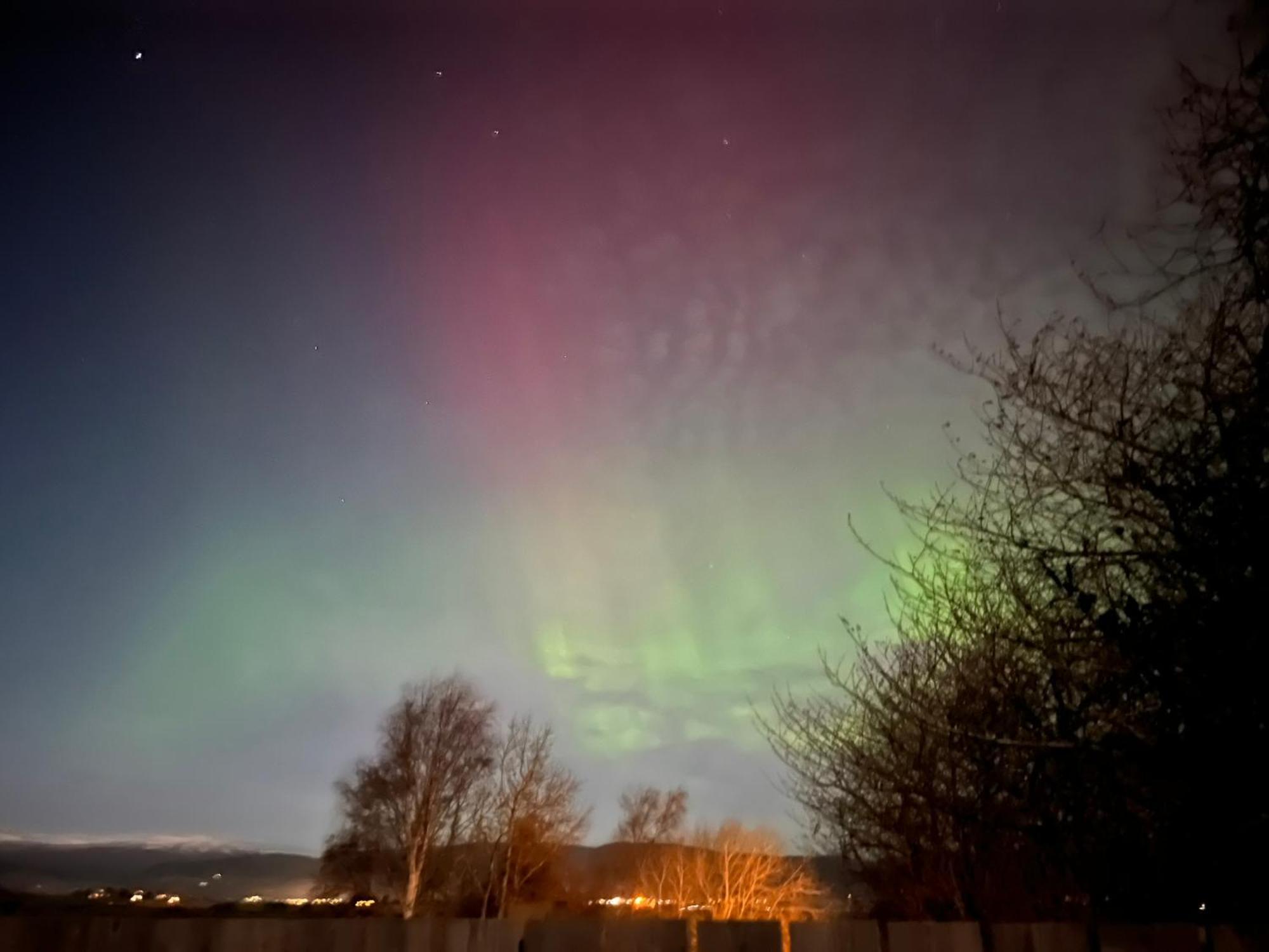 Fyrish View Daire Dingwall Dış mekan fotoğraf